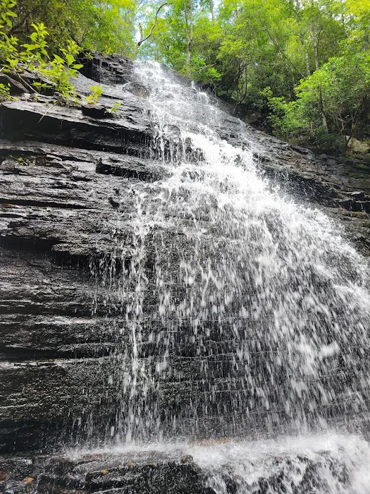 Chilhowee Group Camp Picture 4