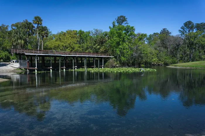 Wekiva Falls Picture 4