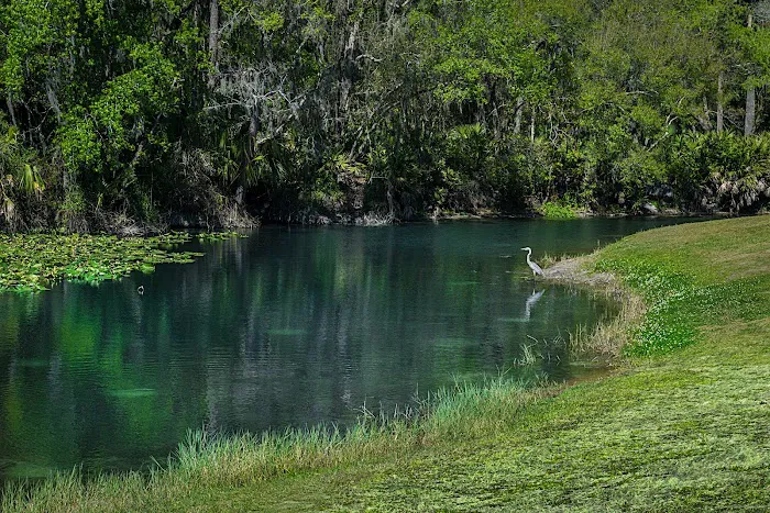 Wekiva Falls Picture 8