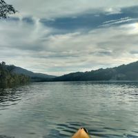 Williams Island Primitive Campsite ico