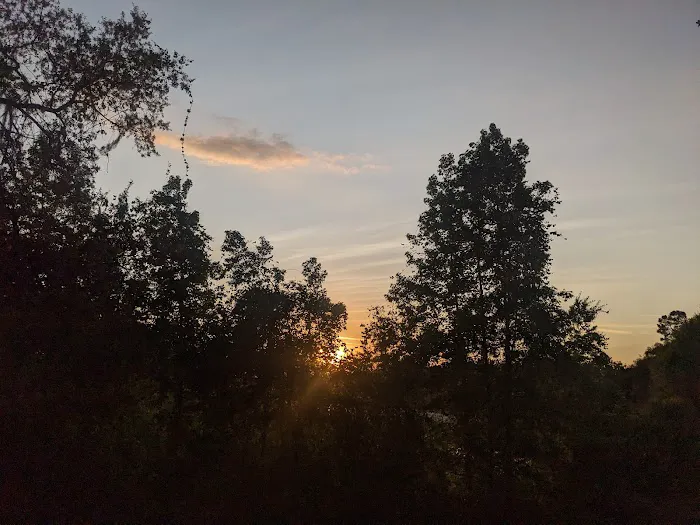 Twelve Oaks RV Resort Picture 8