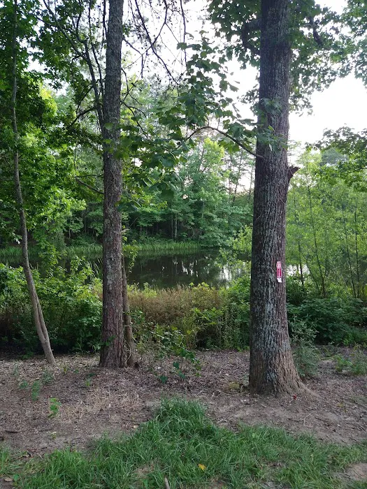 Davis Pond Picture 2