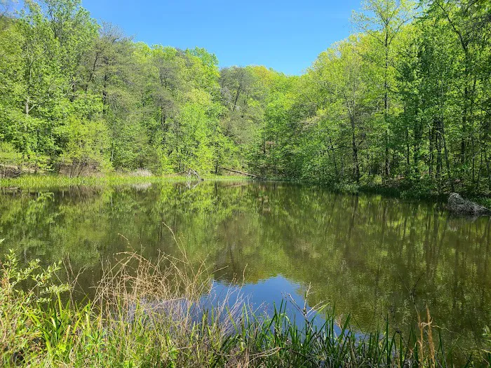 Davis Pond Picture 3