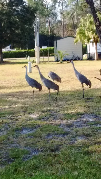 Lake Ashby Mobile Home Park Picture 2