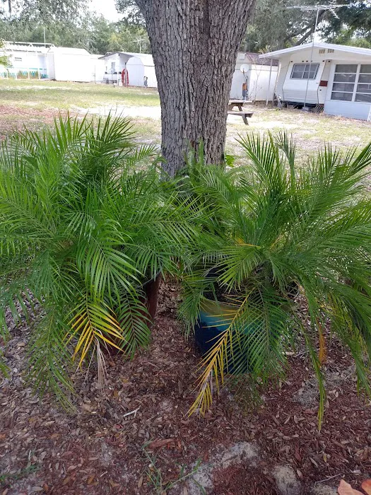 Paradise Lakes MH & RV Picture 4