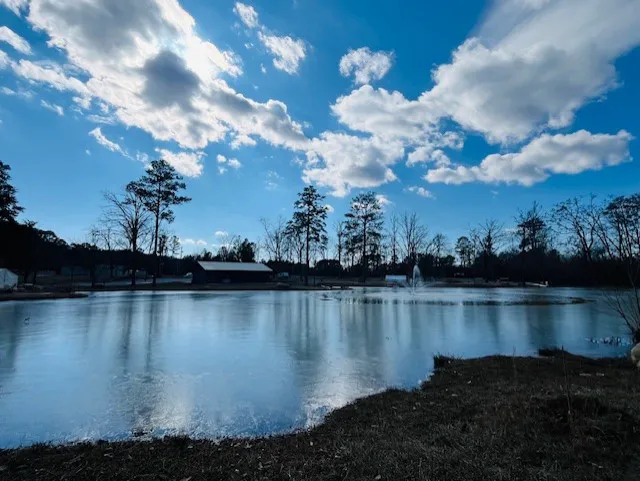 Scenic City RV Campground Picture 8