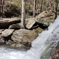 Parksville Lake RV Campground ico