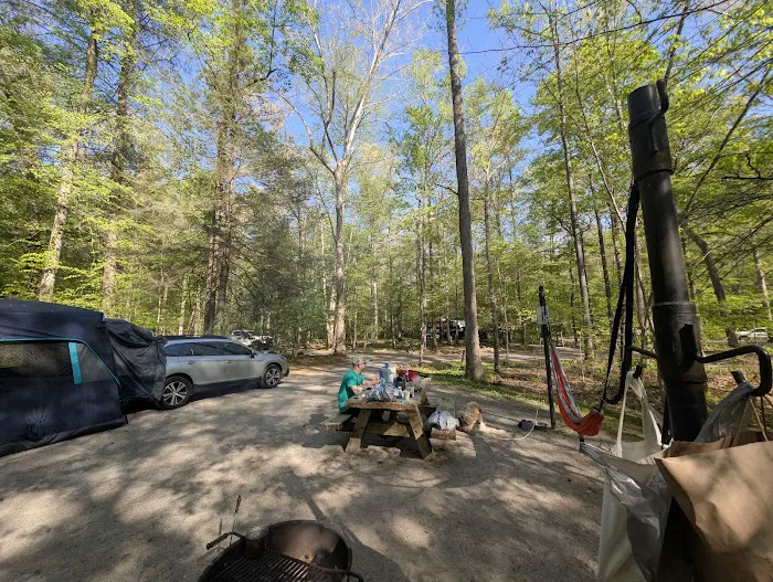 Parksville Lake RV Campground Picture 4