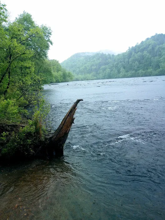 Camp Cherokee Picture 7