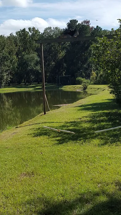 Holbrook Pond Picture 10