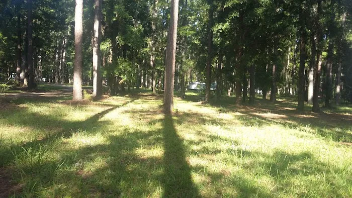 Holbrook Pond Picture 8