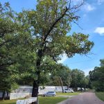 Cedar Hills Mobile Home Park