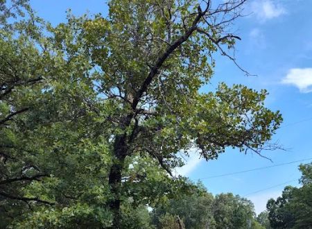Cedar Hills Mobile Home Park