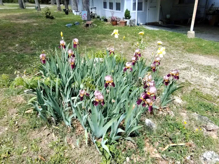 Cedar Hills Mobile Home Park Picture 2