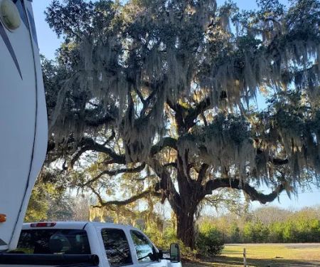 South Newport Campground