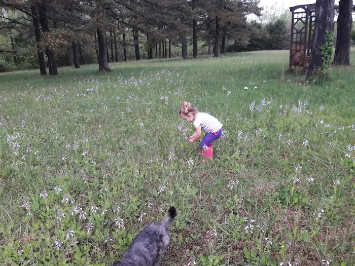 Whispering Pines RV Park Picture 1