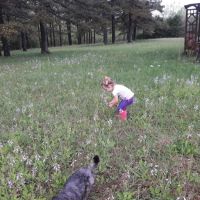 Whispering Pines RV Park ico