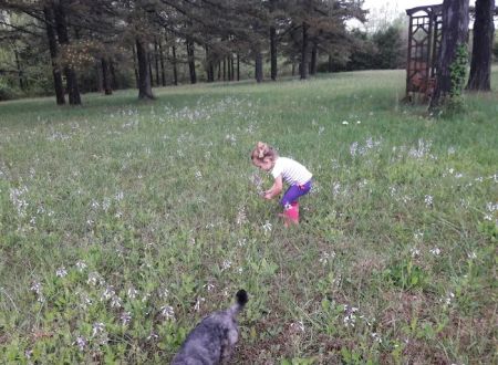 Whispering Pines RV Park