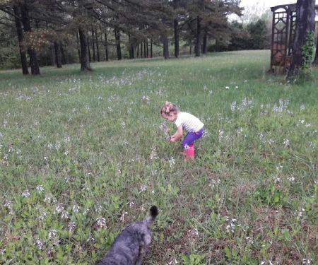 Whispering Pines RV Park