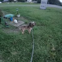 Damascus RV Park LLC ico