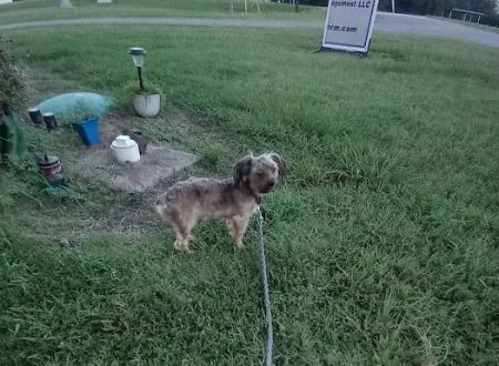 Damascus RV Park LLC