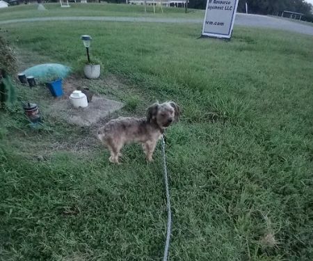 Damascus RV Park LLC