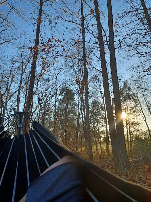 Dixieland Campground Picture 9