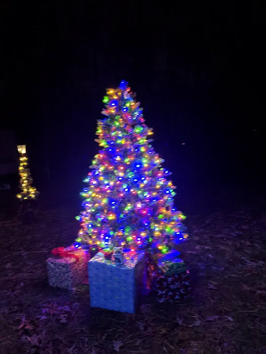 Dixieland Campground Picture 6