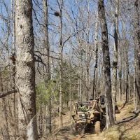 Williams Hill Pass RV Campground & OHV Park ico