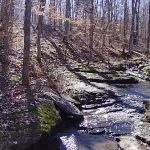Whispering Harvest Campground