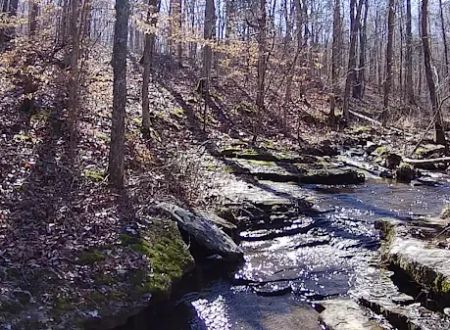 Whispering Harvest Campground