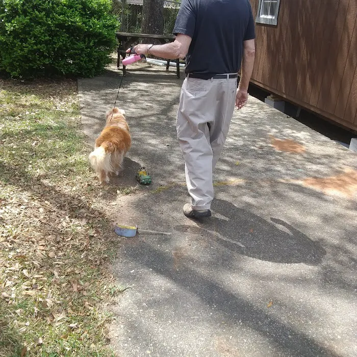 City RV Parks Picture 6