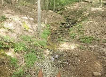 Trailhead Hideaway Campground