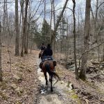 Bear Branch Campgrounds
