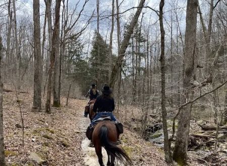Bear Branch Campgrounds
