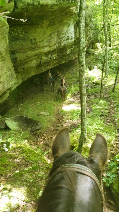 Bear Branch Campgrounds Picture 7