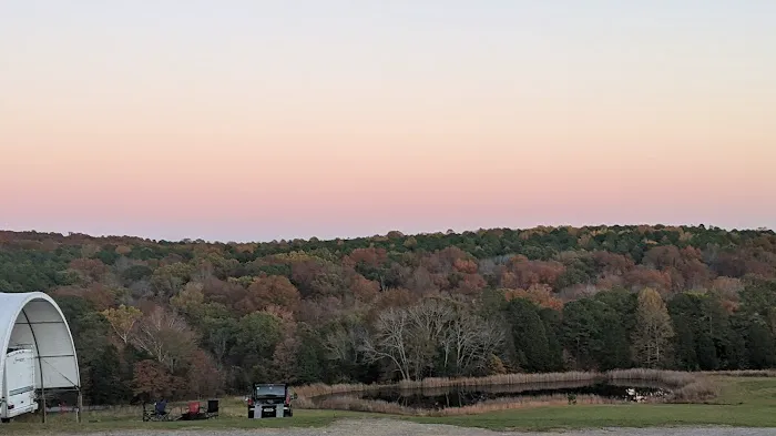 Bear Branch Campgrounds Picture 5