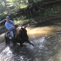 LITTLE LUSK TRAIL LODGE CAMPGROUND ico