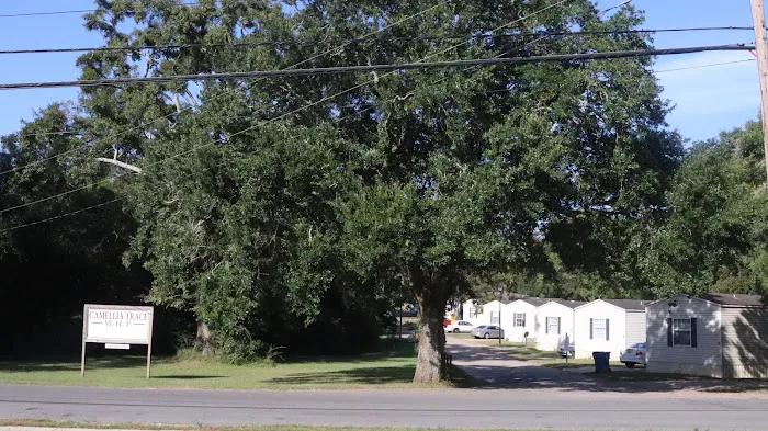 Camellia Trace Mobile Home Park Picture 3