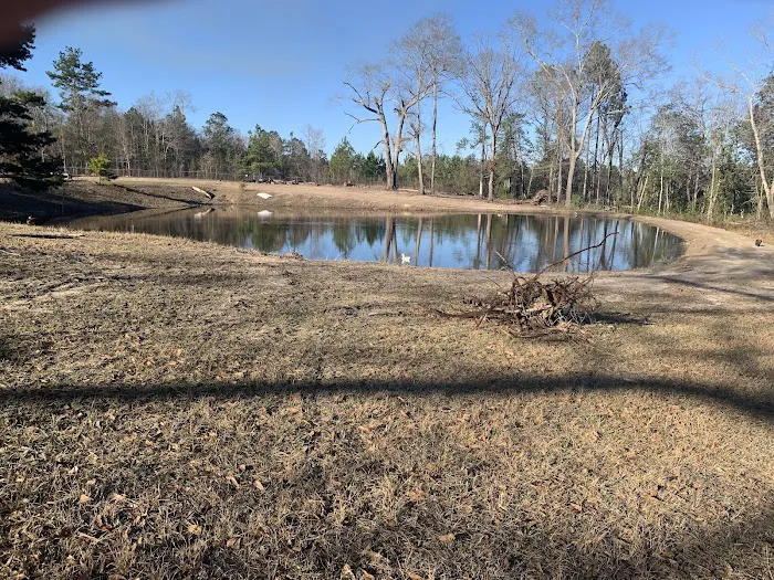 Snow's RV Park Picture 8