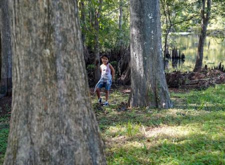 55+ Wynnhaven on the Withlacoochee LLC