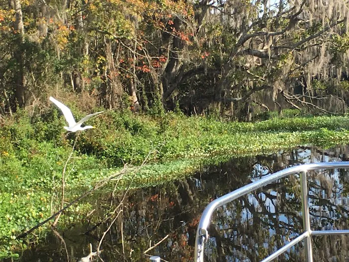 55+ Wynnhaven on the Withlacoochee LLC Picture 10