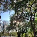 Battle Creek RV Park