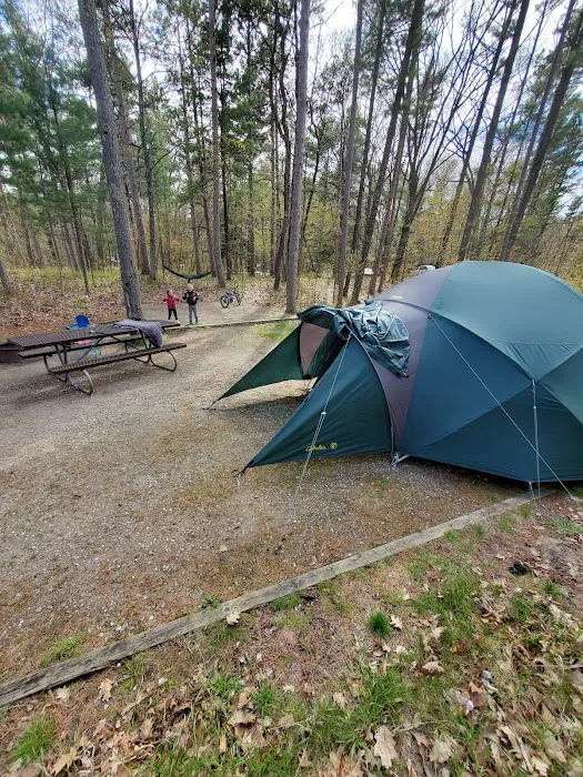 D. H. Day Campground Picture 4