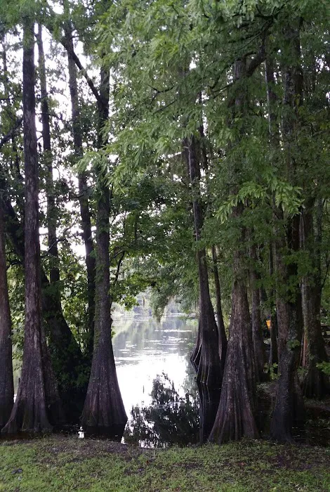 Riverside RV Park Picture 9
