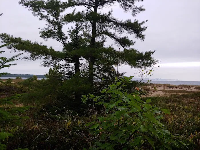 Bay Campground-South Manitou Island Picture 3