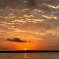 Hammock Oaks Luxury Golf and Motorcoach Resort ico
