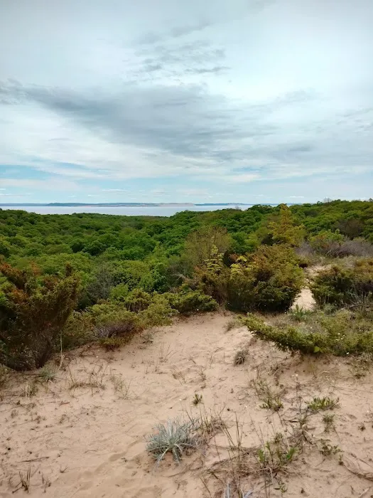 Weather Station Campground - South Manitou Island Picture 2