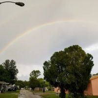Big Tree Properties LLC ico