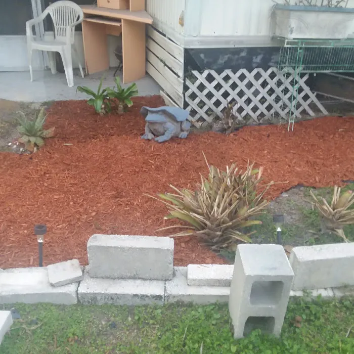 Big Tree Properties LLC Picture 2